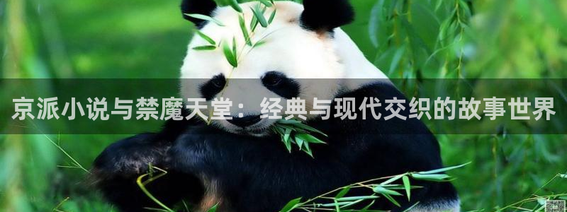 omofunapp官网：京派小说与禁魔天堂：经典与现代交织的故事世界