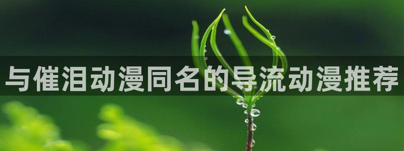 omofun最新：与催泪动漫同名的导流动漫推荐