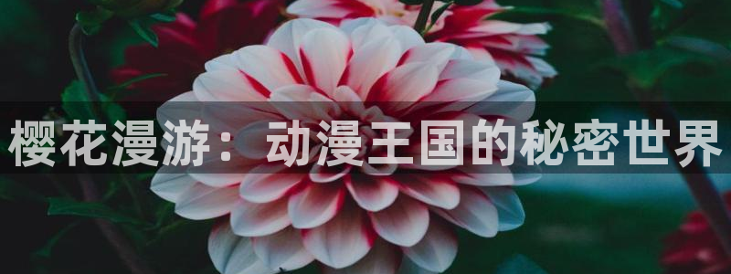 omofun苹果安装包：樱花漫游：动漫王国的秘密世界