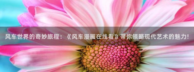 omofun动漫视频网提供最新最快的动漫新番：风车世界的奇妙旅程：《风车漫画在线看》带你领略现代艺术的魅力!