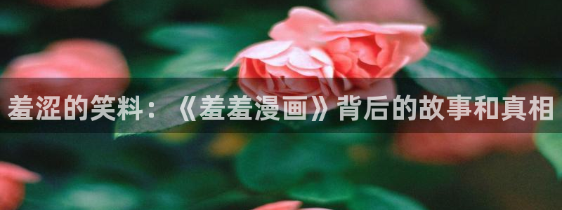 omofun.cn：羞涩的笑料：《羞羞漫画》背后的故事和真相
