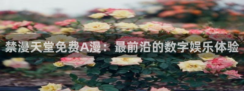 omofun动漫在哪下载：禁漫天堂免费A漫：最前沿的数字娱乐体验